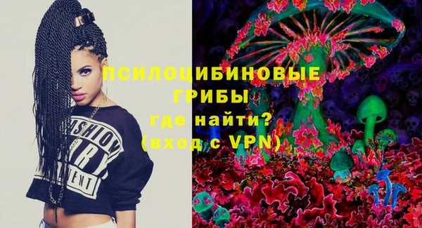 дурь Аркадак