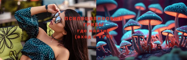 дурь Аркадак
