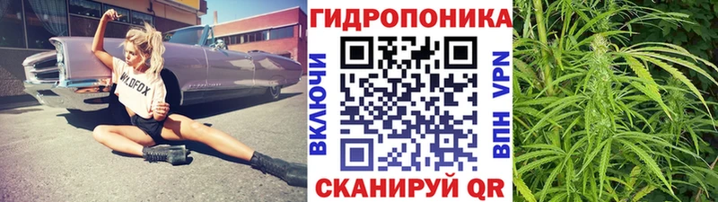 OMG ССЫЛКА  где купить наркоту  Ельня  Каннабис тримм 